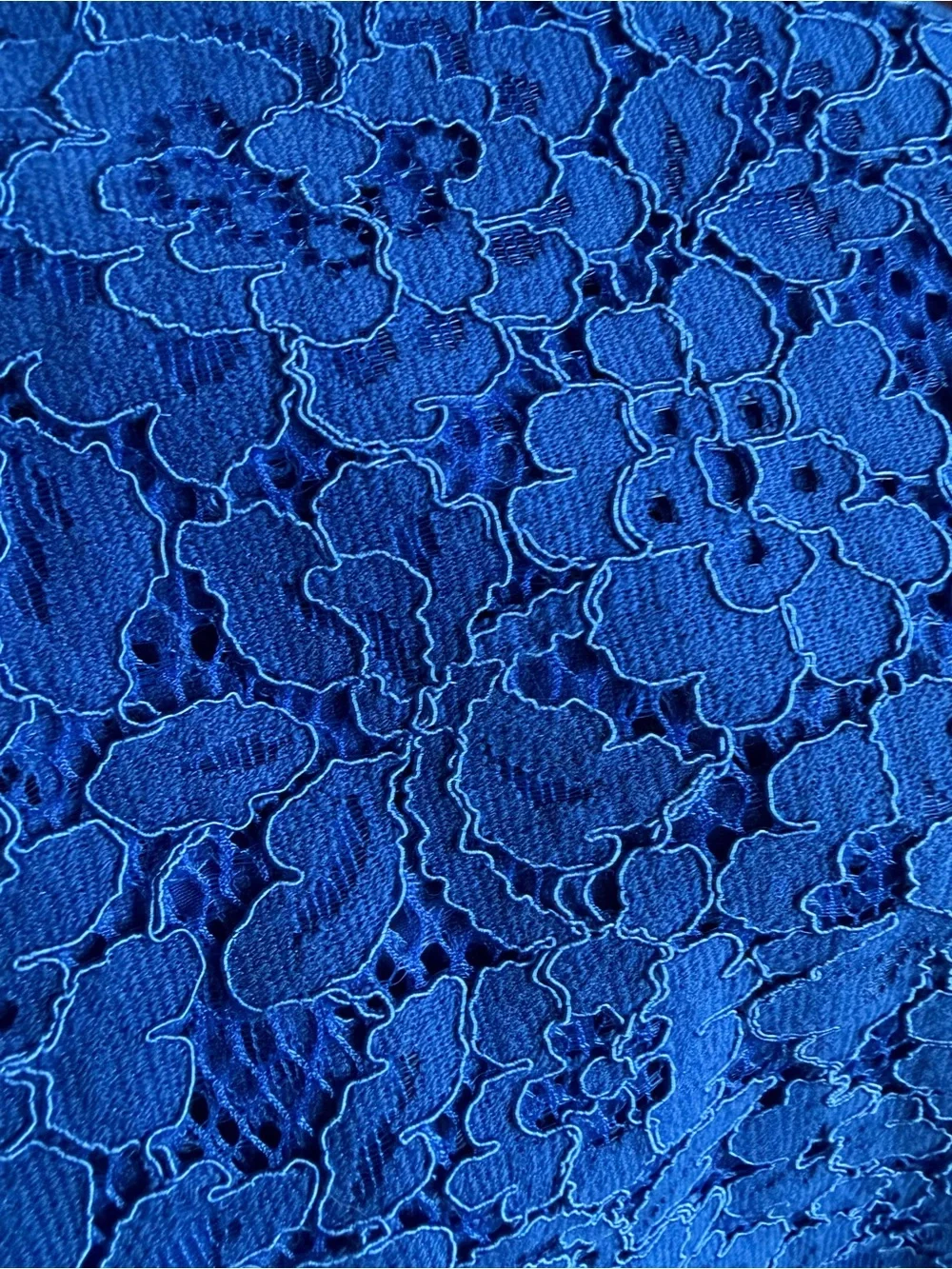 J. Crew Royal Blue Floral Lace Long-Sleeve Mock Neck Top